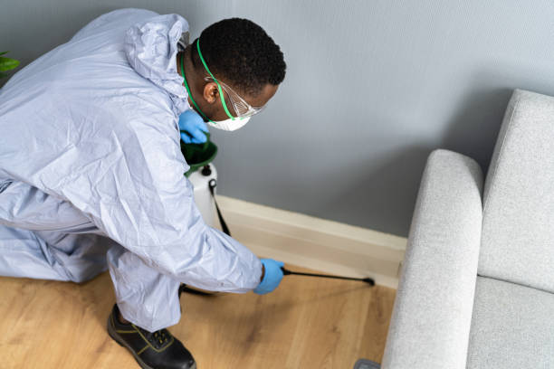 Emergency Pest Control Services in Justice, IL